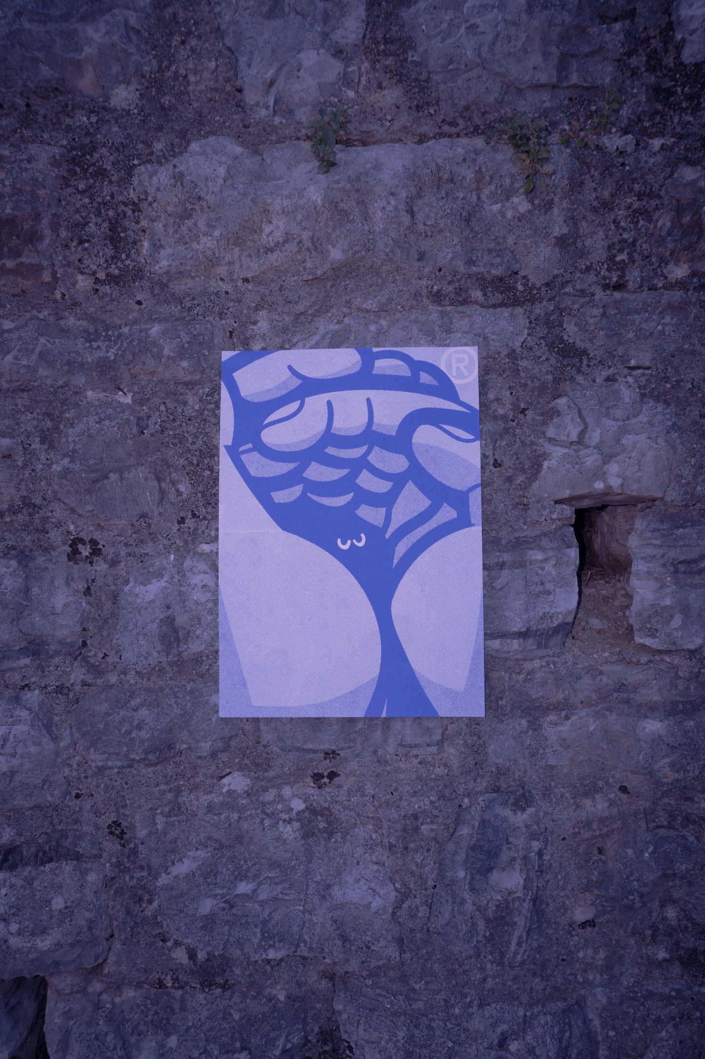 Limitiertes, handsigniertes Siebdruckposter Kunstdruck