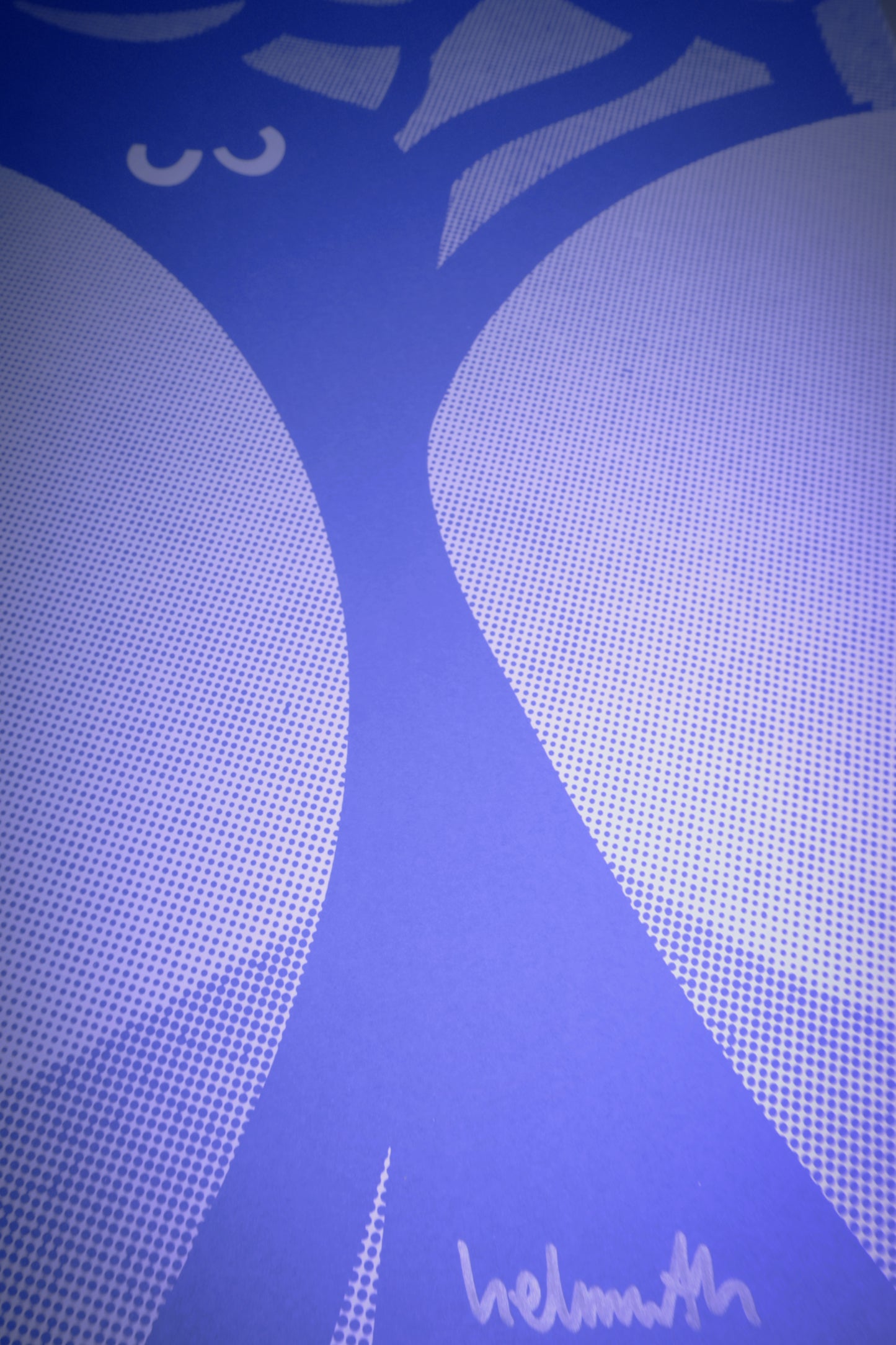 Limitiertes, handsigniertes Siebdruckposter Kunstdruck